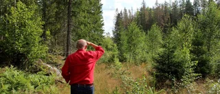 Mångmiljonförlust drabbar Baroniet