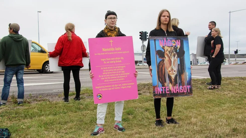 Amanda från Linköping och Anna från Lund var också på plats. "Vi är här för djuren, de har ingen annan", säger Amanda.