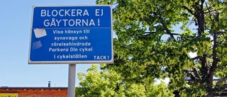 "Gåytorna" väcker intresse i stan