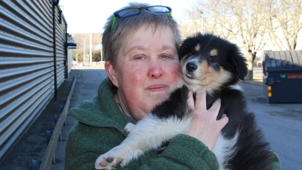 Norrköpingsbon Lotte Andersson, 56, med sin långhåriga collie Figaro. Lotte har startat ett initiativ som ska skicka ner 60 säckar djurfoder till husdjur på flykt från kriget i Ukraina.