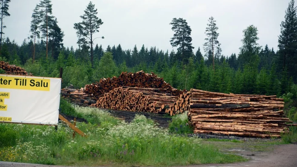 Ett stort skogsområde har avverkas för att bereda plats för det nya industriområdet intill riksväg 40.