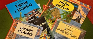 Christian Dahlgren: Tintin i politiken