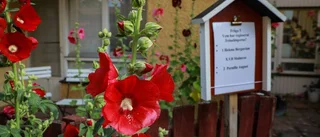 Här väcks patienternas minnen till liv