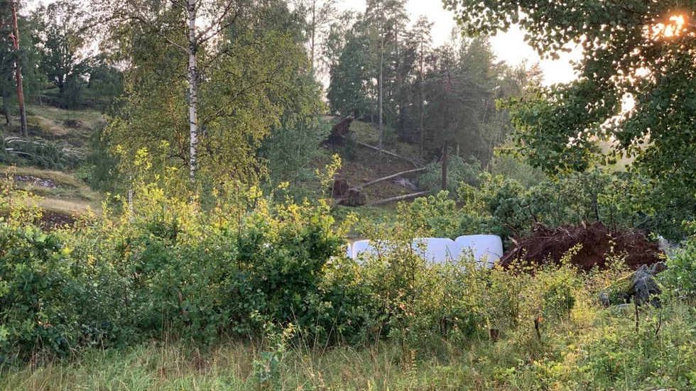 Oväder utanför Ljungsbro fällde ett 30-tal träd, de flesta fullvuxna björkar men också några granar.