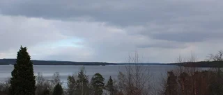 Nej till skyddsjakt på skarv i Åsunden