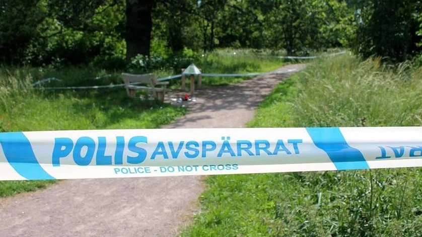 Två män anhölls under natten till söndagen som misstänkta för inblandning i skottlossningen i Skäggetorp.