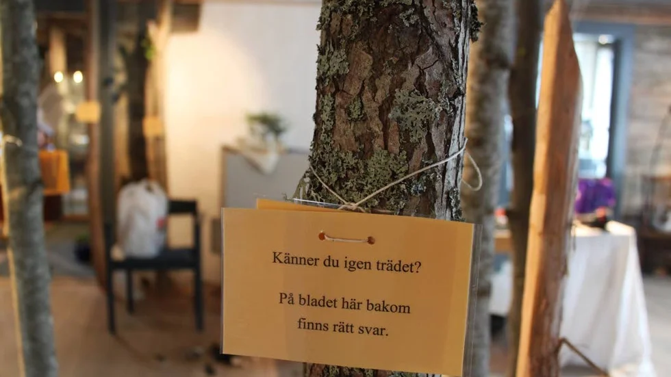 I utställningen kan man testa sina kunskaper om träd. Klurigare än man kan tro, när man bara har stammen som utgångspunkt.
