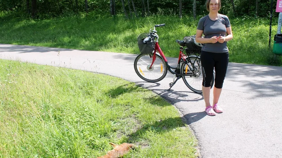 Maria Strand upptäckte ett litet rådjur utan huvud mitt i Vallarondellen på söndagen.