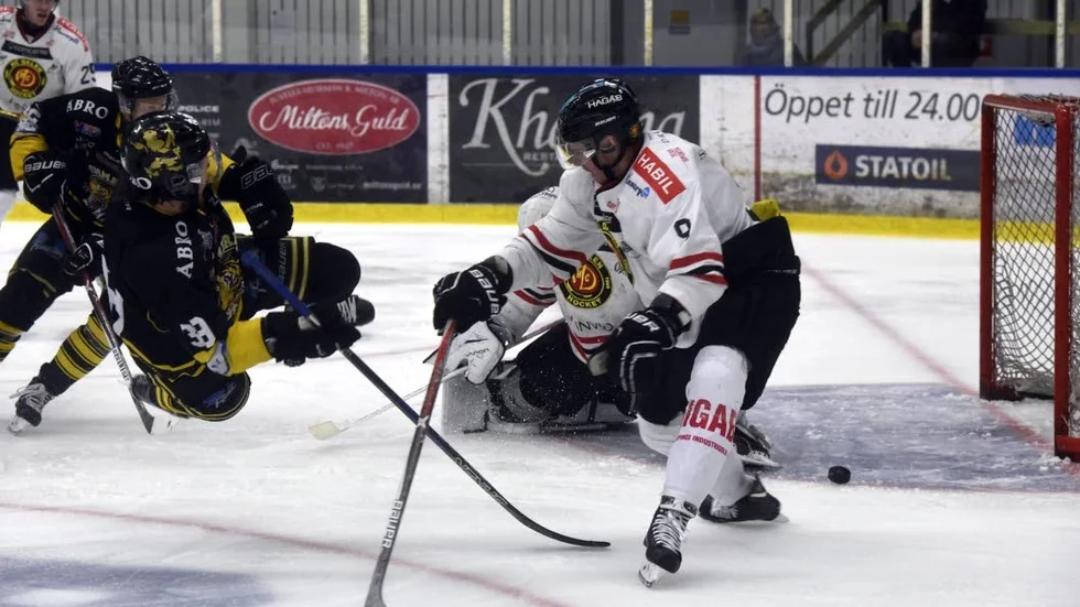 HC Dalen har värvat en landslagsmeriterad norrman.