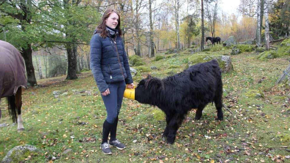 Sigge är inte blyg. Han gillar godis och älskar att bli kliad av Elin Andersson.