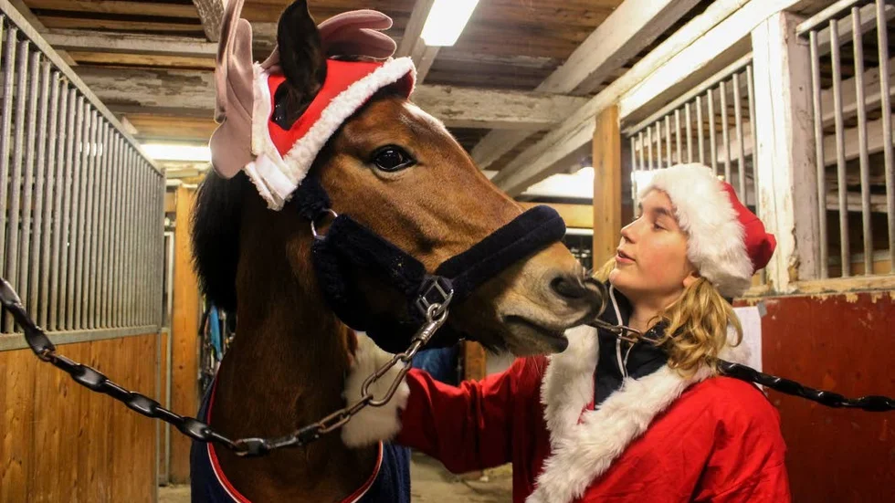 Dafne var sugen på att ge matte Elsa Lagerlöf en stor julpuss.