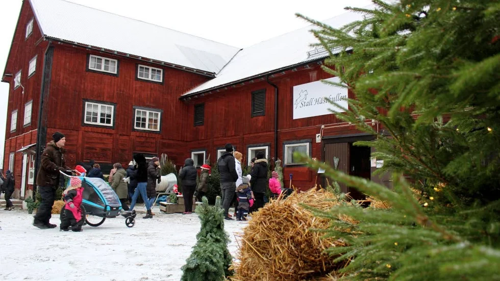 En stallbacke med mycket julkänsla välkomnade besökarna.