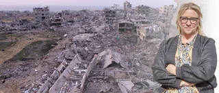 "Många tecken på att Israel ägnar sig åt etnisk rensning i Gaza"