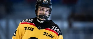 Lirade i Djurgården – nu vill Luleåbacken ta revansch med guld