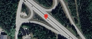 Hjortar på fel sida av viltstängslet på E18