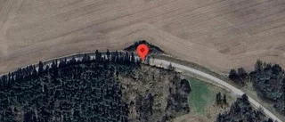 Träd över vägen skapar problem i trafiken på väg 975