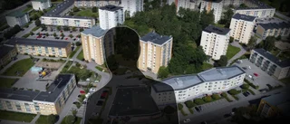 Man misstänks ha anlitat barn för sprängdåd
