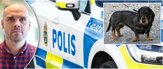 Polisen söker kvinna i Luleå – har attackerat två hundar i stan