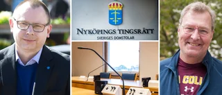 Zetterström (SD) vill se fler nämndemän med utländsk bakgrund