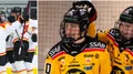 Avslöjar: Tulus är aktuell för Brynäs