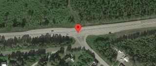 Trafikverket varnar för renar på vägen på E4