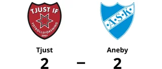 Tjust kryssade mot Aneby