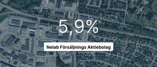 Nelab Försäljnings AB redovisar: Resultat som pekar uppåt