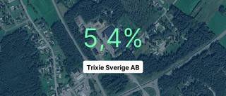 Trixie Sverige AB visar fortsatt tillväxt