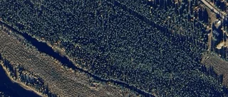 1 400 000 kronor för skog i Jörn