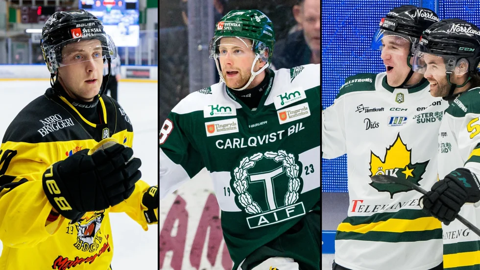 Vimmerby, Tingsryd och Östersund ser ut att göra upp i bottenkampen av Hockeyallsvenskan.