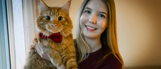 Mjau! Matvraket Frans är läsarnas favorit 