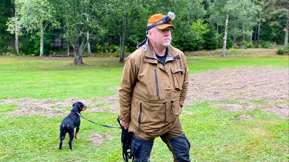 Tanken var att kommunjägaren Anders Eklund skulle skjuta vildvinen under onsdagskvällen  – men kan kunde inte skjuta.