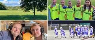 Maifalliansens besked: Utesluter inte att byta namn på arenan