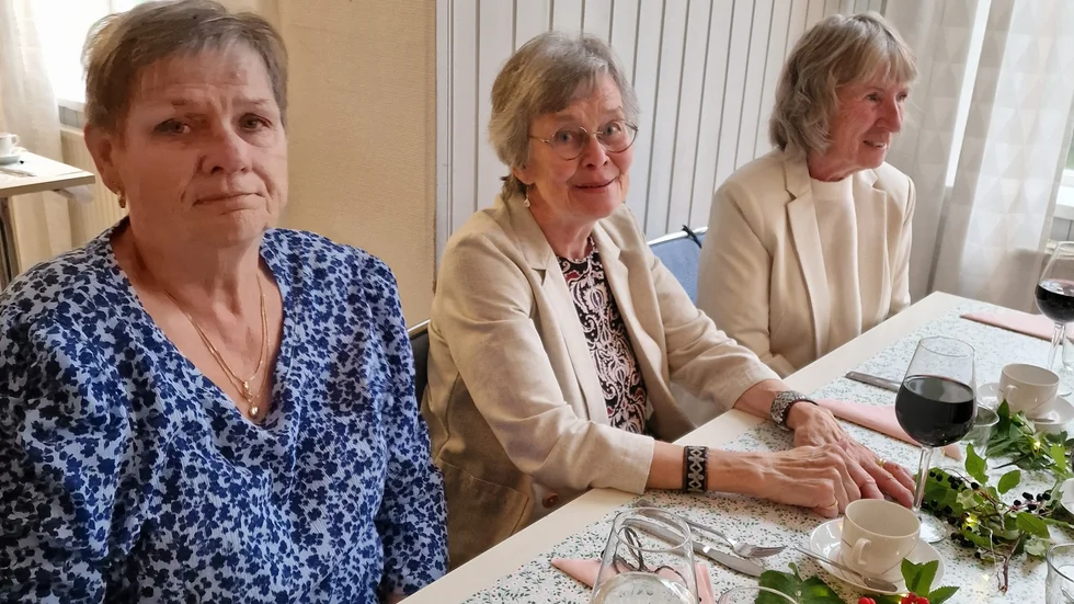 Karin Hansson, Karin Niva och Karin Silverplats