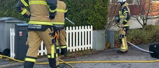 Exploderande batteri till skruvdragare satte eld på tujahäck