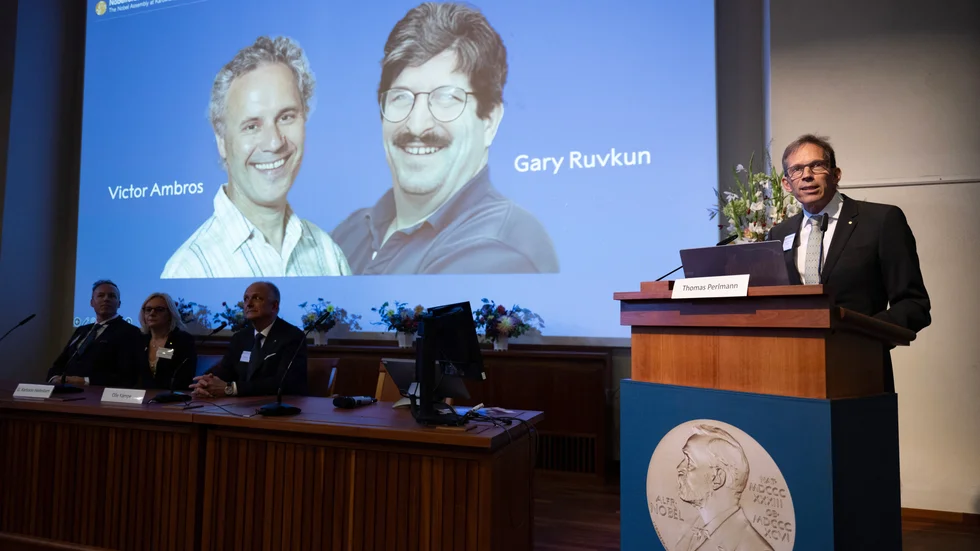 Karolinska Institutet tillkännager årets Nobelpristagare i fysiologi eller medicin, Victor Ambros och Gary Ruvkun.