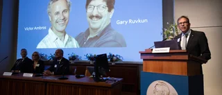 Nobelveckan en parad av grånade amerikaner