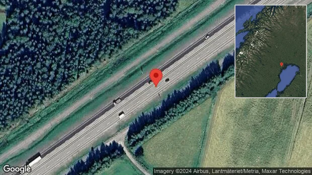 Älg på vägen kan skapa fara på E4