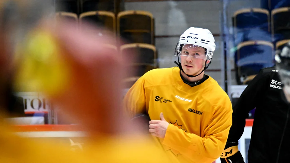 23-årige Ludvig Warg tränar med Skellefteå AIK i veckan.