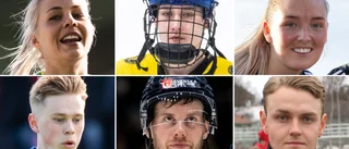 LISTA • Från fotbollsklass till elit – de har nått längst