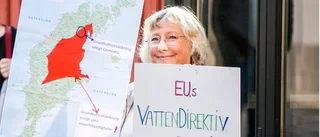 Karin Gardell: "Grundvattnet på Gotland är mycket värdefullt"