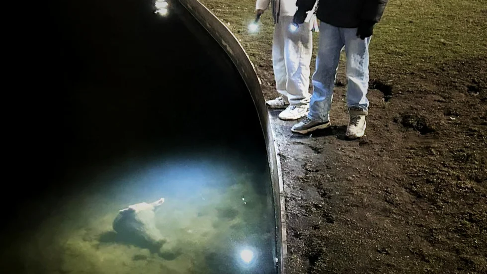 Grishuvudet hittades genom att pojkarna lyste med ficklampa mot bottten av dammen.