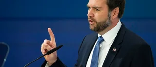 Vicepresidenten kritiserar Sverige