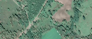 Nya ägare till tomt i Boxholms kommun – priset: 200 000 kronor