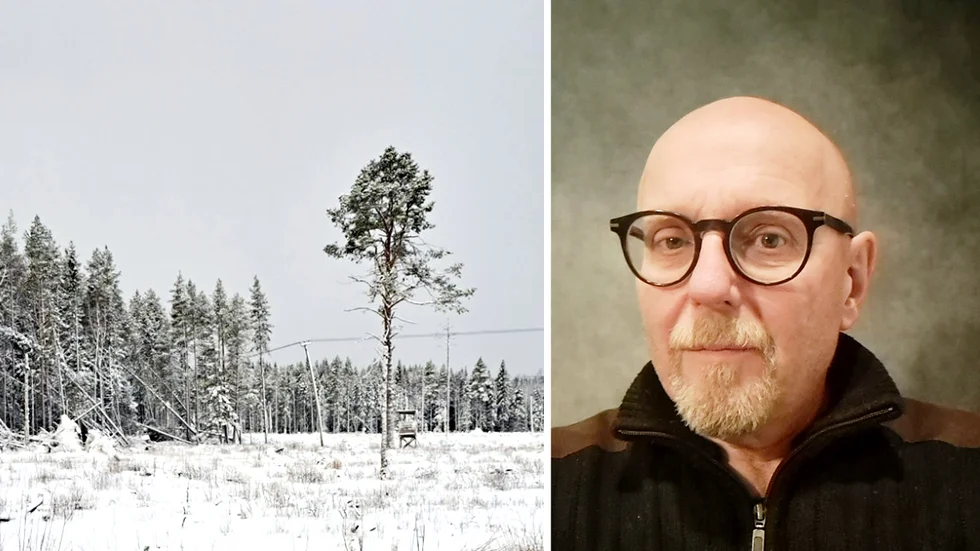 Under stormen föll flera träd i vid Bjurön och förstörde kraftledningar, vilket ledde till strömavbrott för hushåll i området. 
