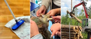 Skönhetsbehandlingar och städning – här är de nya företagen