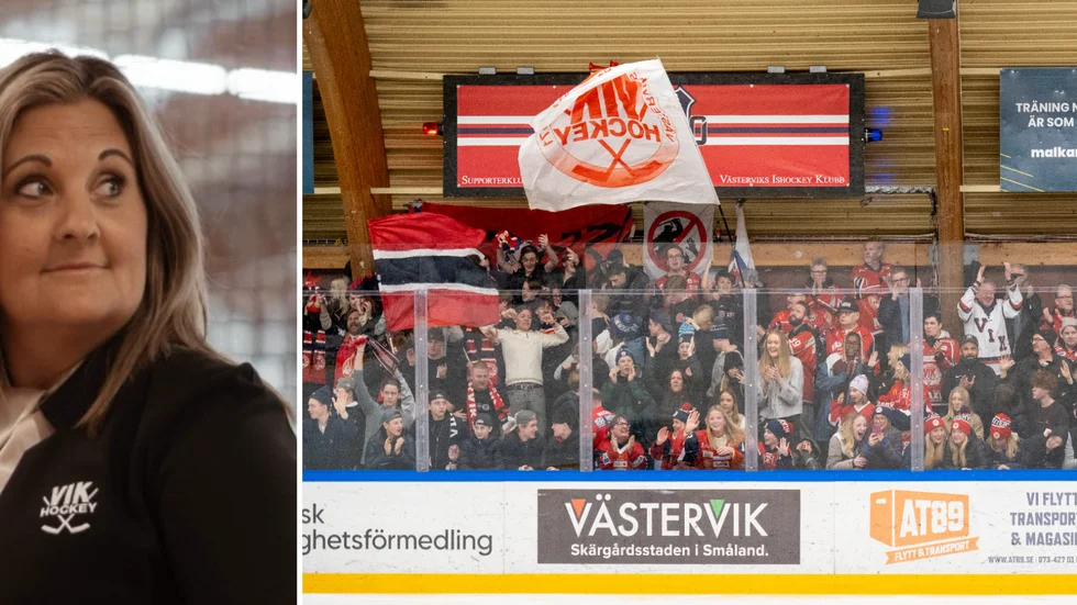 Petra Axelsson, VIK