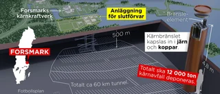 Domstol godkänner hantering av kärnbränsle i Oskarshamn