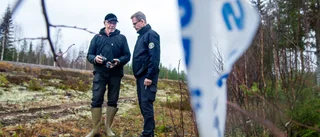 Överraskande fynd vid viltolycka – vapen hittades i diket