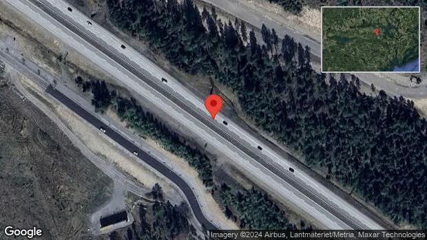 Viltolycka på E20